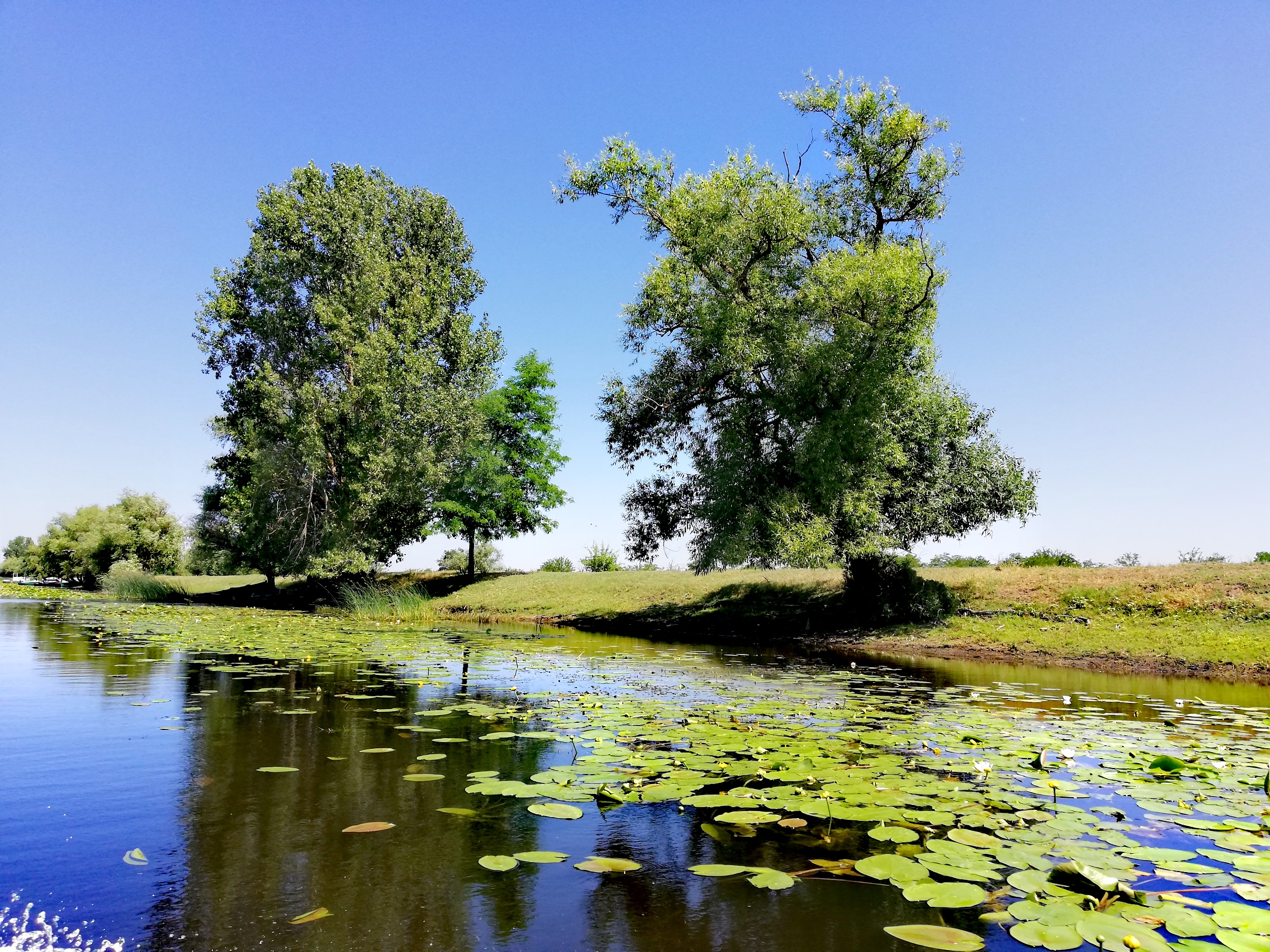 Das Donaudelta